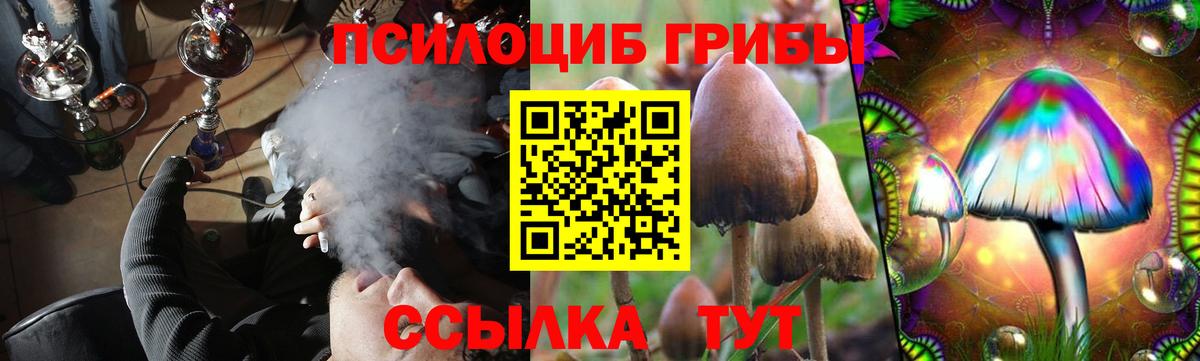 Сосновоборск  Псилоцибиновые грибы Psilocybe  Вход с VPN 