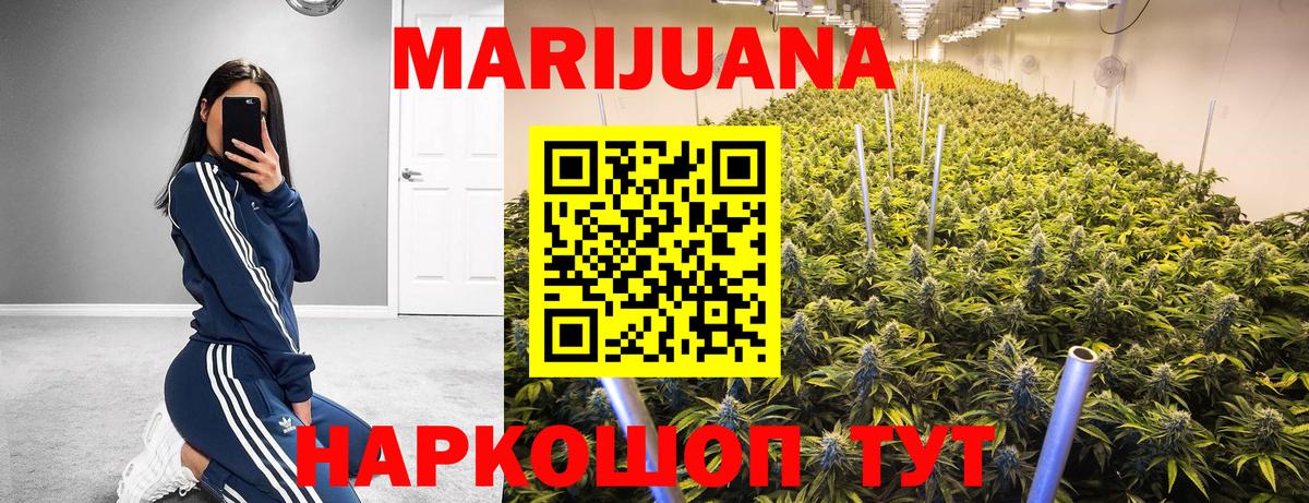 Шишки марихуана план Сосновоборск
